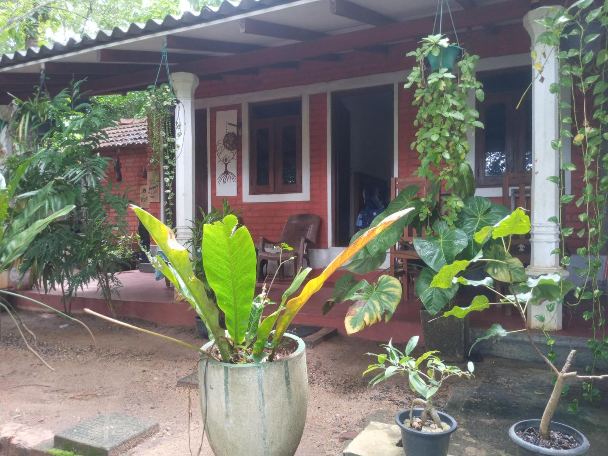 Angry Birds Homestay Habarana Pokoj fotografie