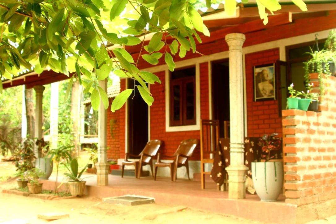 Angry Birds Homestay Habarana Exteriér fotografie